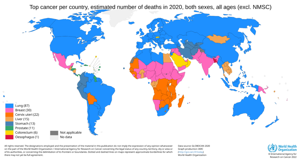 Στατιστικά στοιχεία για τους θανάτους από καρκίνο σε όλο τον κόσμο 1, Lung Cancer.