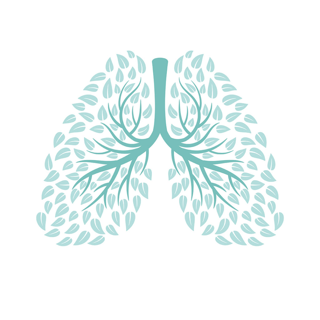 Ο ανθρώπινος πνεύμονας από την επιστημονική ομάδα της Lung Cancer.